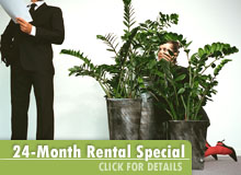 24-Month Rental Special