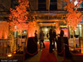 Milestone's Yaletown Grand Re-Opening Event.  This dramatic look was created using 14 ft. live flame maple trees uplit with orange spotlights.  Curly willow branches were added to the iron fence to complete the look.