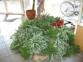 This base garden using artifical plants and flowers covered the base support for the giant 18 ft. ficus tree.