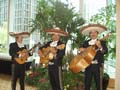 Cost Baja Developments real estate event at the Downtown Marriott.  Movie Greens brought the Mexican Baja into a hotel ballroom using assorted live cactus trees, palm trees and birds of paradise.  Splashes of color were added by enhancing the live plants with artificial flowers.